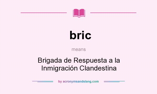 What does bric mean? It stands for Brigada de Respuesta a la Inmigración Clandestina
