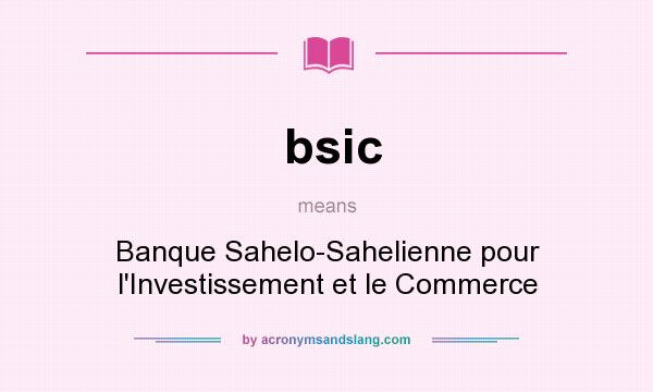 What does bsic mean? It stands for Banque Sahelo-Sahelienne pour l`Investissement et le Commerce