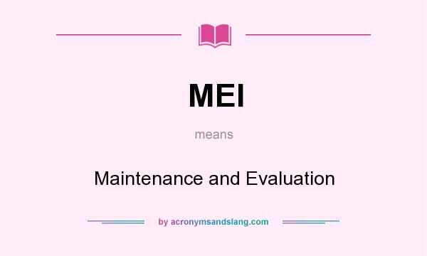 What does MEI mean? It stands for Maintenance and Evaluation