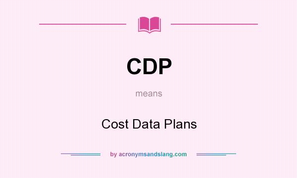 What does CDP mean? It stands for Cost Data Plans