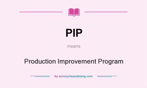 What does PIP mean? It stands for Production Improvement Program