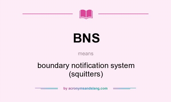 What does BNS mean? It stands for boundary notification system (squitters)