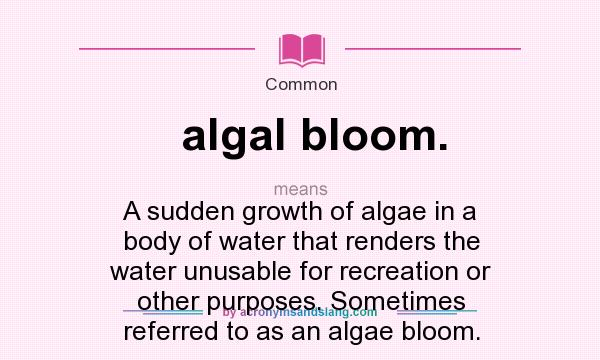 What does algal bloom. mean? It stands for A sudden growth of algae in a body of water that renders the water unusable for recreation or other purposes. Sometimes referred to as an algae bloom.