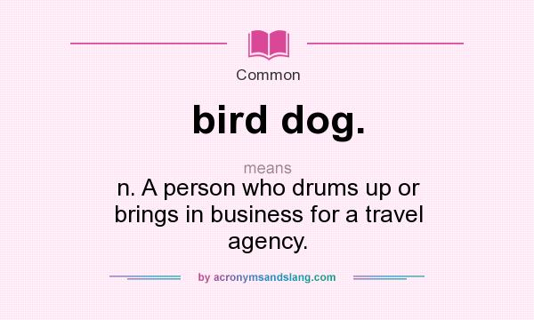 What does bird dog. mean? It stands for n. A person who drums up or brings in business for a travel agency.