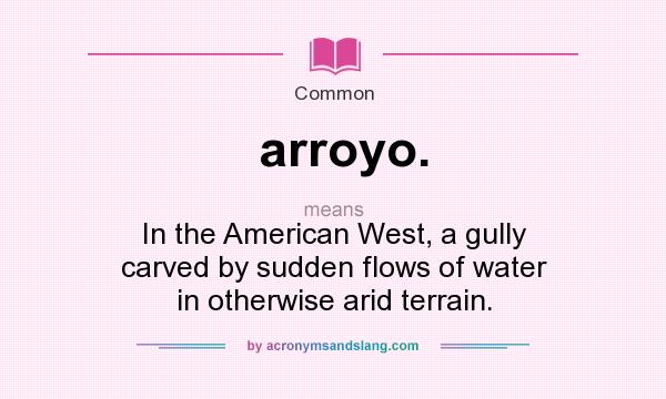 What does arroyo. mean? It stands for In the American West, a gully carved by sudden flows of water in otherwise arid terrain.