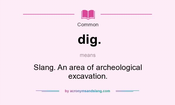What does dig. mean? It stands for Slang. An area of archeological excavation.