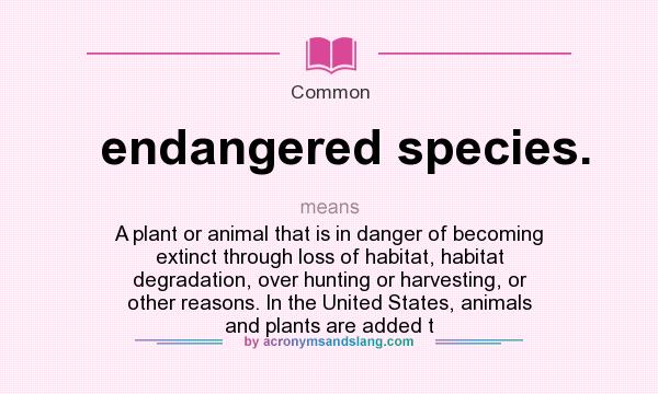 What does endangered species. mean? - Definition of endangered species. - endangered  species. stands for A plant or animal that is in danger of becoming extinct  through loss of habitat, habitat degradation,