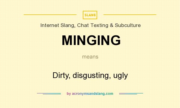 What does MINGING mean? It stands for Dirty, disgusting, ugly