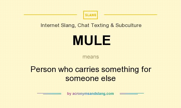 What does MULE mean? It stands for Person who carries something for someone else