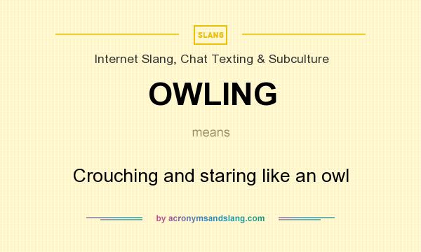 What does OWLING mean? It stands for Crouching and staring like an owl