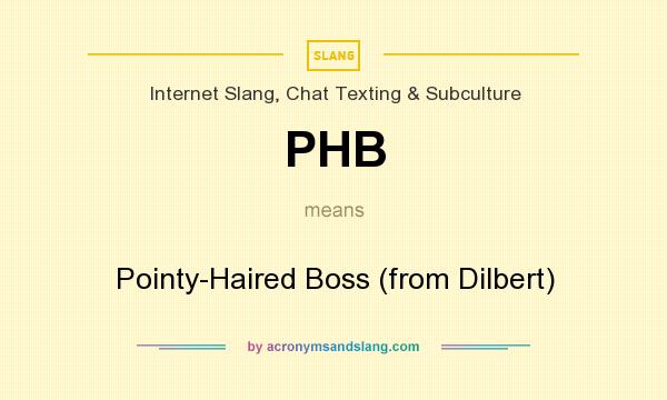 What does PHB mean? It stands for Pointy-Haired Boss (from Dilbert)