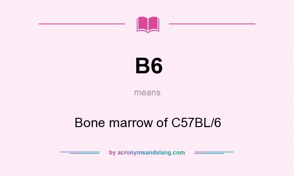 What does B6 mean? It stands for Bone marrow of C57BL/6