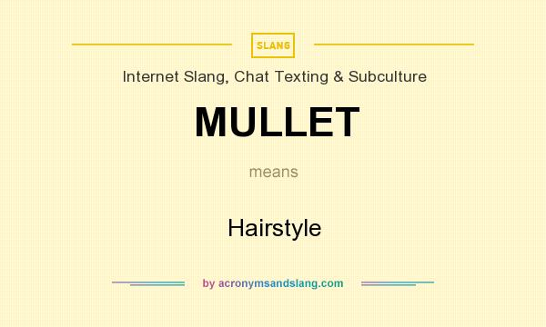 What does MULLET mean? It stands for Hairstyle