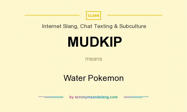 What does MUDKIP mean? It stands for Water Pokemon