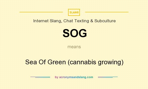 What does SOG mean? It stands for Sea Of Green (cannabis growing)