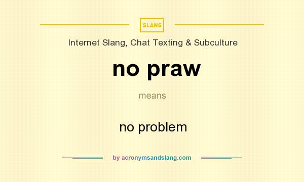 What does no praw mean? It stands for no problem