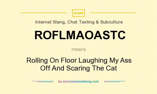 What does ROFLMAOASTC mean? It stands for Rolling On Floor Laughing My Ass Off And Scaring The Cat