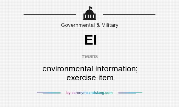 What does EI mean? It stands for environmental information; exercise item