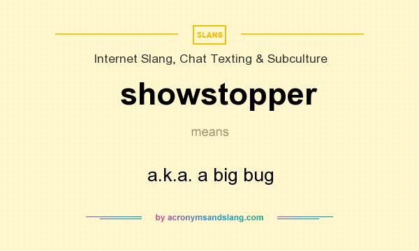 What does showstopper mean? It stands for a.k.a. a big bug