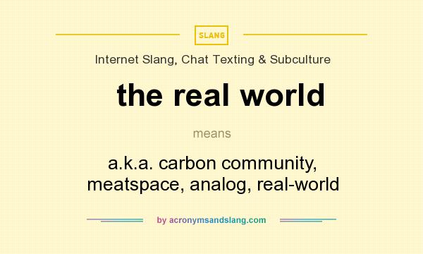 What does the real world mean? It stands for a.k.a. carbon community, meatspace, analog, real-world