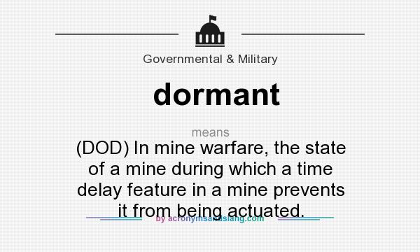 What does dormant mean? It stands for (DOD) In mine warfare, the state of a mine during which a time delay feature in a mine prevents it from being actuated.