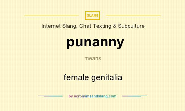 What does punanny mean? It stands for female genitalia
