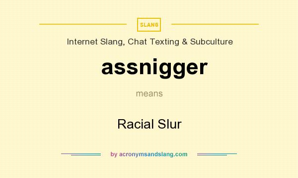 What does assnigger mean? It stands for Racial Slur