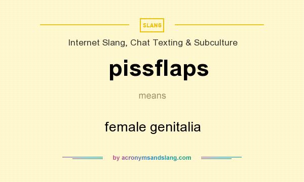 What does pissflaps mean? It stands for female genitalia