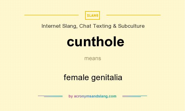 What does cunthole mean? It stands for female genitalia