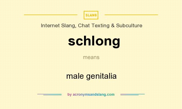 What does schlong mean? It stands for male genitalia