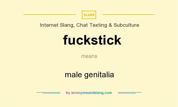 What does fuckstick mean? It stands for male genitalia