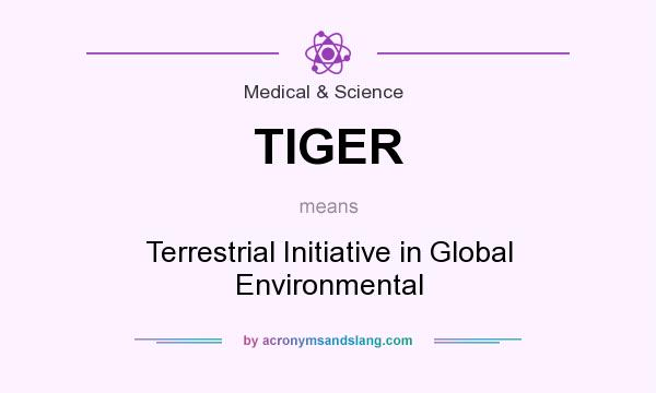 What does TIGER mean? It stands for Terrestrial Initiative in Global Environmental