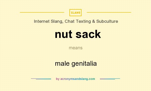 What does nut sack mean? It stands for male genitalia