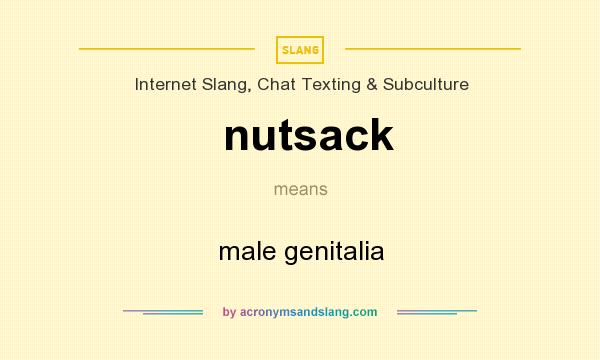 What does nutsack mean? It stands for male genitalia