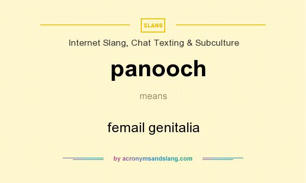 What does panooch mean? It stands for femail genitalia