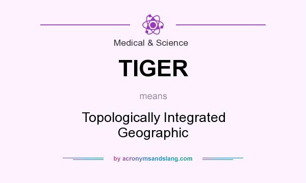 What does TIGER mean? It stands for Topologically Integrated Geographic