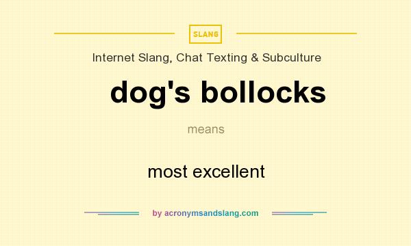 What does dog`s bollocks mean? It stands for most excellent