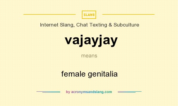 What does vajayjay mean? It stands for female genitalia