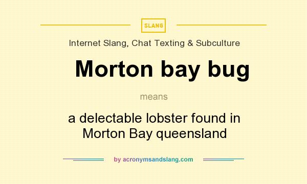 What does Morton bay bug mean? It stands for a delectable lobster found in Morton Bay queensland