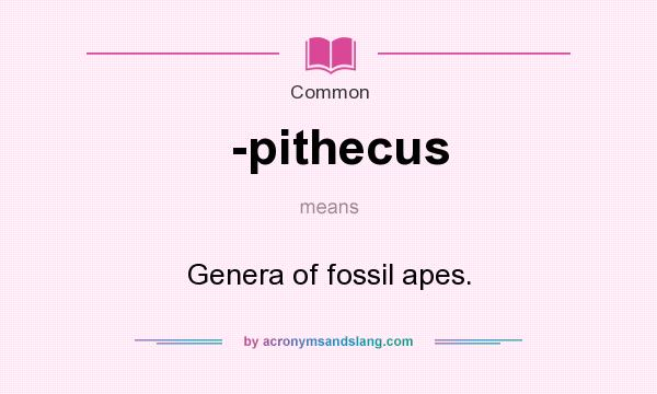 What does -pithecus mean? It stands for Genera of fossil apes.