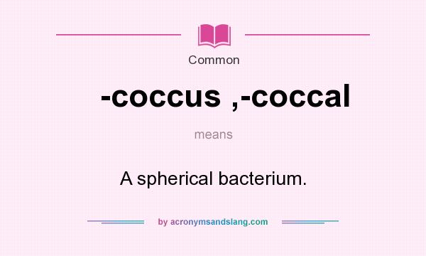 What does -coccus ,-coccal mean? It stands for A spherical bacterium.