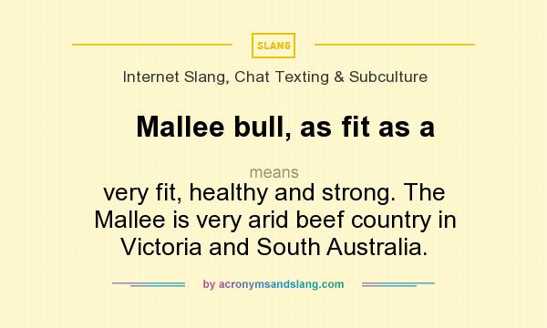 What does Mallee bull, as fit as a mean? It stands for very fit, healthy and strong. The Mallee is very arid beef country in Victoria and South Australia.