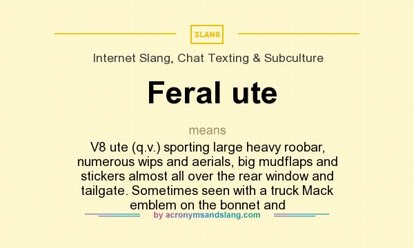 What does Feral ute mean? It stands for V8 ute (q.v.) sporting large heavy roobar, numerous wips and aerials, big mudflaps and stickers almost all over the rear window and tailgate. Sometimes seen with a truck Mack emblem on the bonnet and