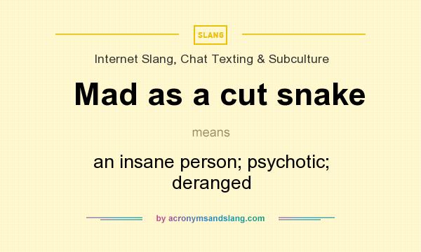 What does Mad as a cut snake mean? It stands for an insane person; psychotic; deranged