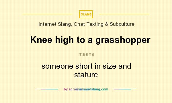 What does Knee high to a grasshopper mean? It stands for someone short in size and stature