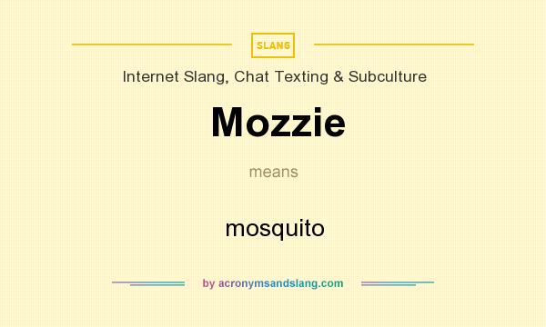 What does Mozzie mean? It stands for mosquito