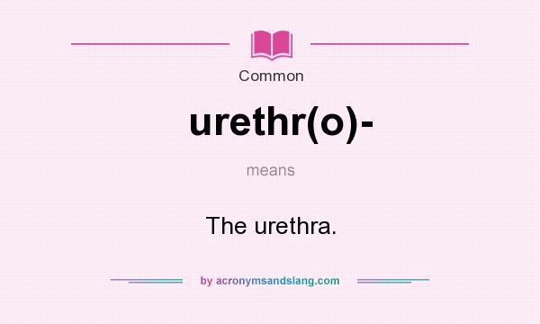 What does urethr(o)- mean? It stands for The urethra.
