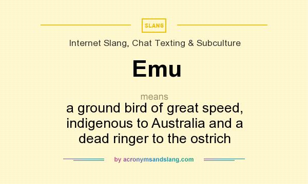 What does Emu mean? It stands for a ground bird of great speed, indigenous to Australia and a dead ringer to the ostrich