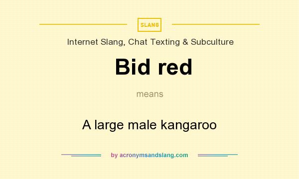 What does Bid red mean? It stands for A large male kangaroo