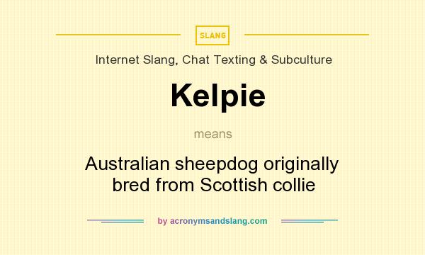 What does Kelpie mean? It stands for Australian sheepdog originally bred from Scottish collie